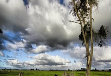 英雄联盟官网能为玩家做什么？新手必知的实用功能全解析